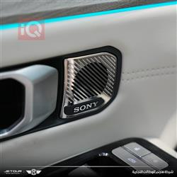 جیتۆر داشينگ